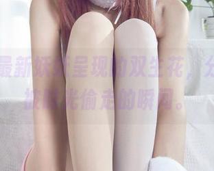 丽柜 – 最新妖妖呈现的双生花，分享那些被时光偷走的瞬间。