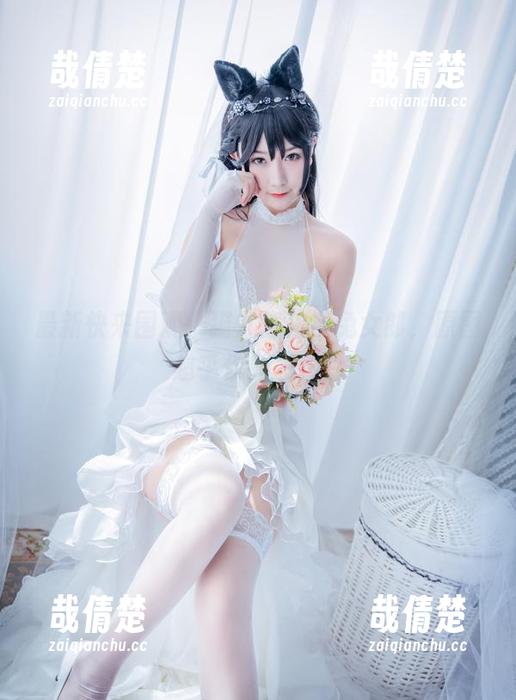 最新快来围观，猫九酱化身兔女郎，原图超乎你的想象！