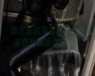 微密圈 – 图包里的美脚真是个诱人的陷阱，紫色哒豚豚你这小子！