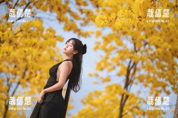 跟随萌芽儿o0的拍摄足迹，透明护士原图与甜蜜套图等你探索！