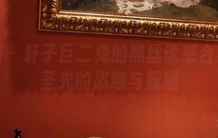 微密圈 – 轩子巨二兔的黑丝诱惑合集：无圣光的恣意与妩媚